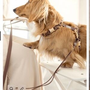 Sunny Tails Dog Harness + Leash Bundle Espresso Brown, Like New